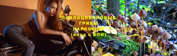 круглые Армянск