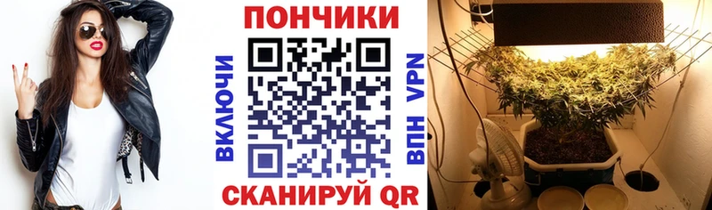 Шишки марихуана Amnesia  купить наркотик  Райчихинск 
